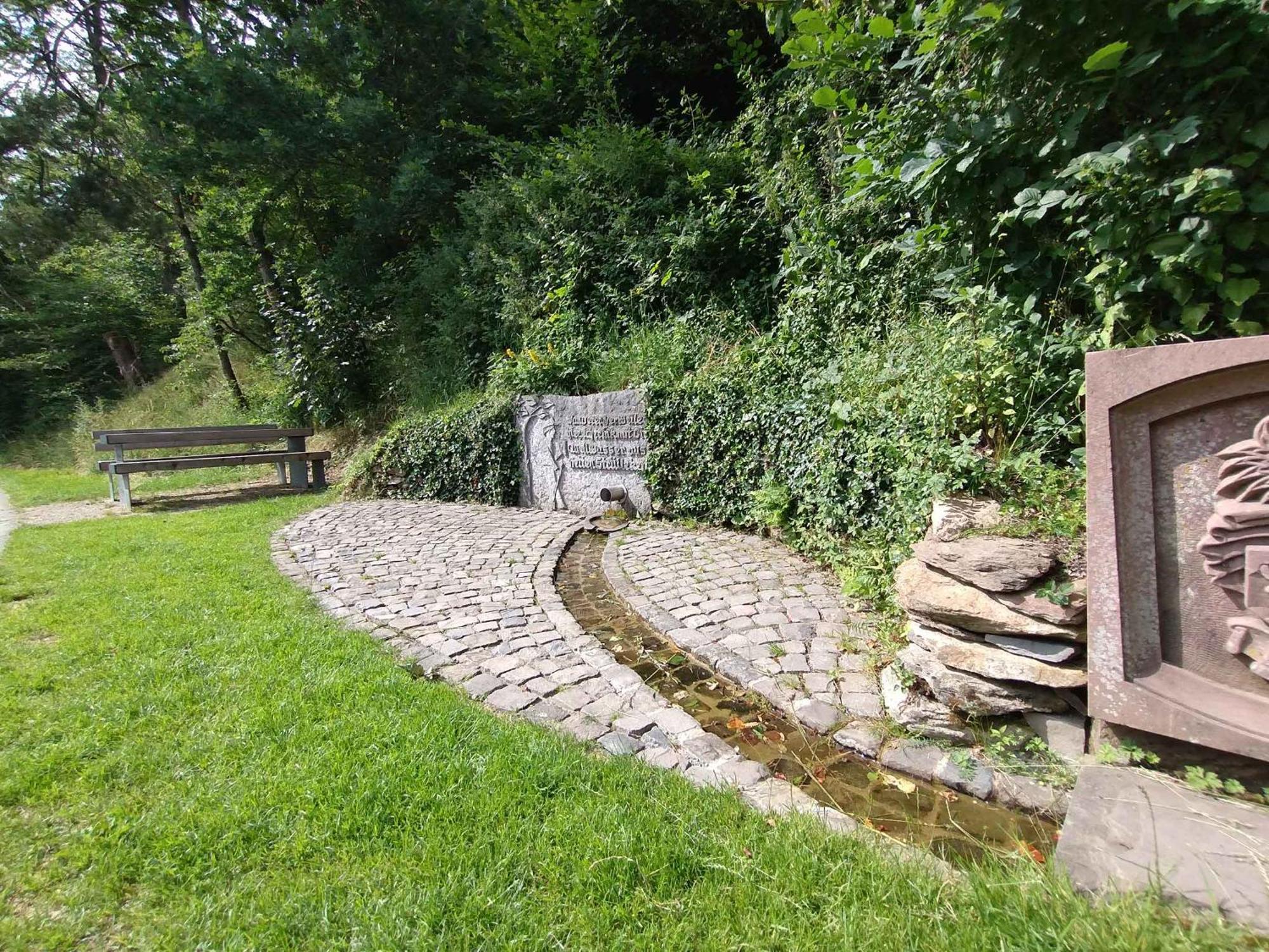 Ferienwohnung Am Kamp Schmallenberg Exteriör bild